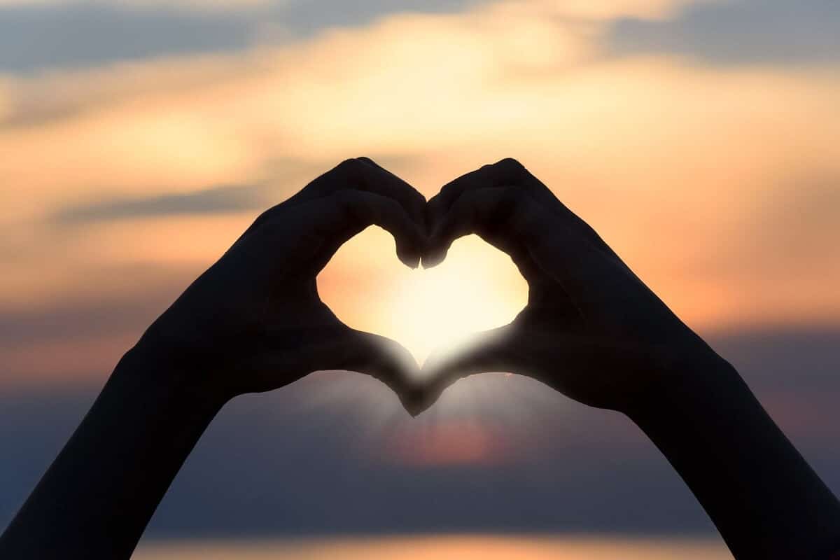 Mediciner.in - Healthy heart, happy life… | 2025 heart with hands