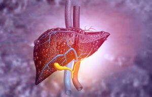 Mediciner.in - Liver transplants save lives | 2025 Liver