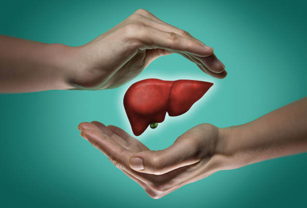 Mediciner.in - Liver transplants save lives | 2025 liver image 2025