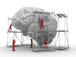 Brain building made fun