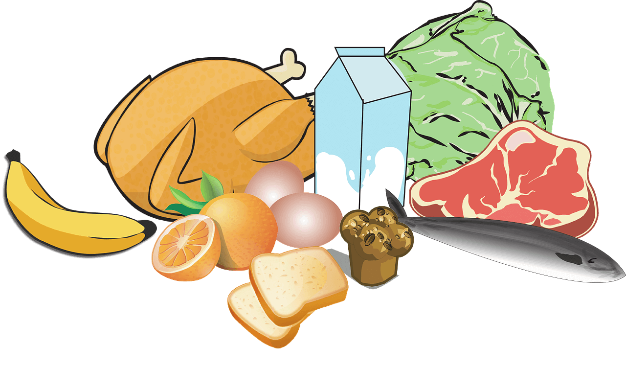 Mediciner.in - The food pyramid- Is it still relevant? | 2025 Fruits, vegetables and chicken
