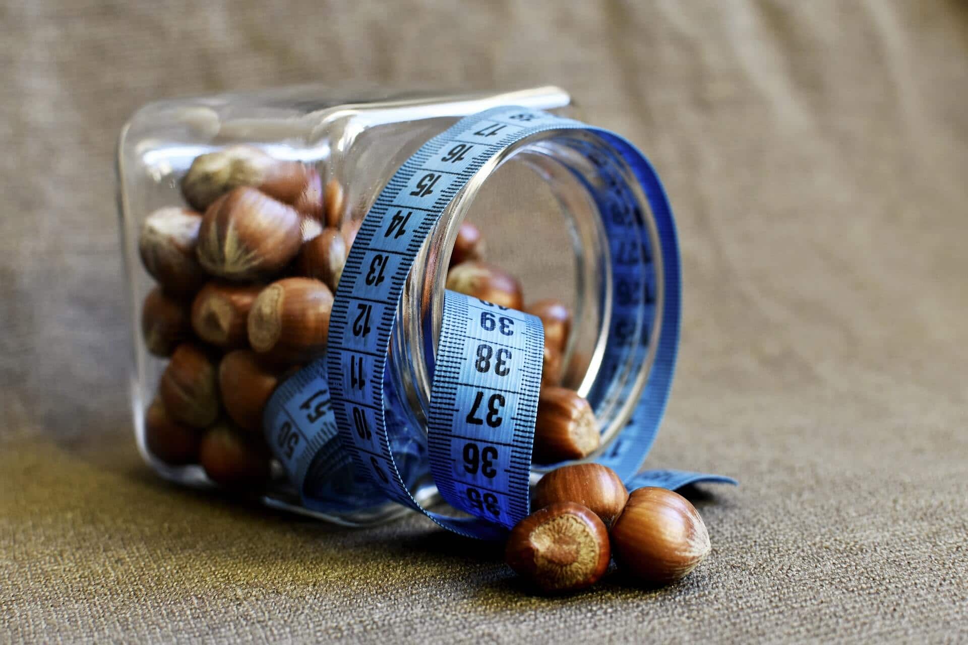 hazelnuts hazelnuts