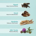 Mediciner.in - Namhya Liver cleanse Tea (100g) with Harad Milk Thistle | 2025 3 1 1 2025