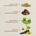 Mediciner.in - Namhya Diabetes Care Tea (100g) with Paneer Dodi, Guduchi & Haritaki | 2025 c 1 2025