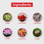 Mediciner.in - Pharma Science Ayurvedic Medicine Piles Powder | Fast Relief from Bleeding, Burning & Pain -100gm | 2025 05 2 2025