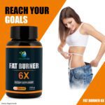 Mediciner.in - VEDAPURE Fat Burner 6X Dietary Supplements with Green Coffee Bean Extract, Green Tea Extract and Garcinia Cambogia Extract (Pack of 1) | 2025 Fat Burner 2 2025