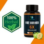 Mediciner.in - VEDAPURE Fat Burner 6X Dietary Supplements with Green Coffee Bean Extract, Green Tea Extract and Garcinia Cambogia Extract (Pack of 1) | 2025 Fat Burner 3 2025