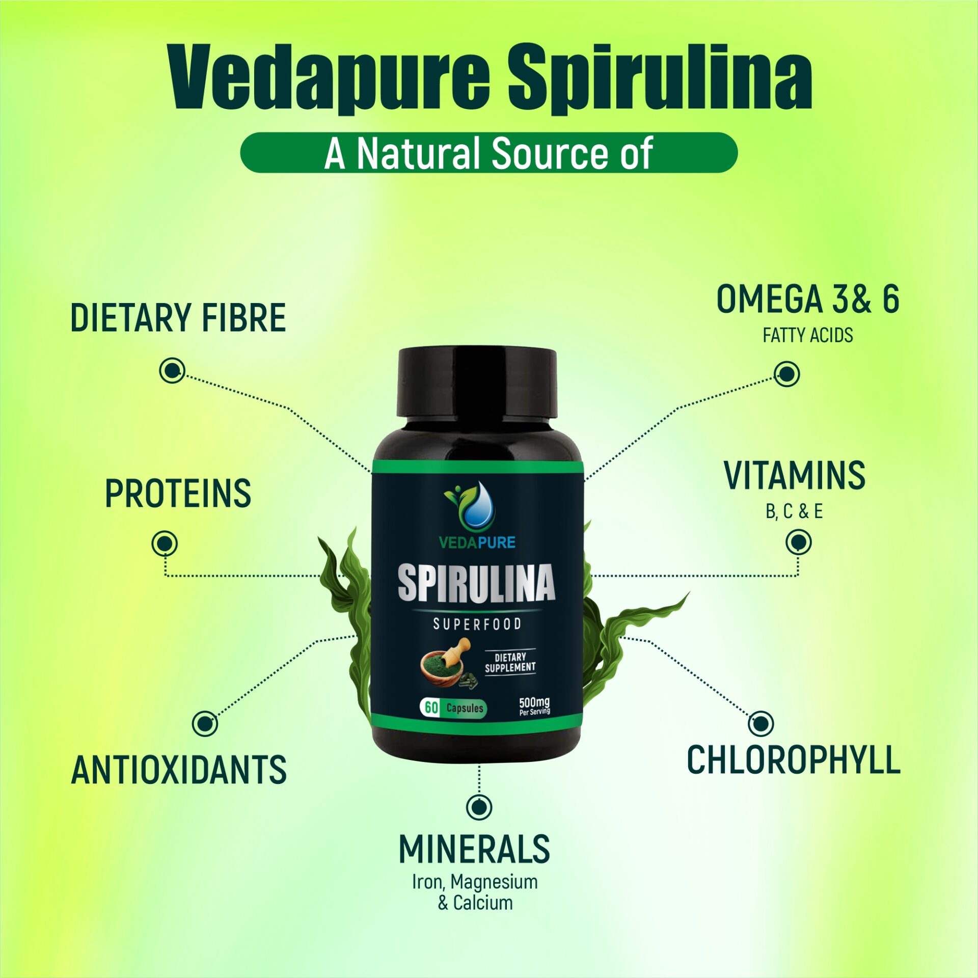 Spirulina 4 Spirulina 4 2025