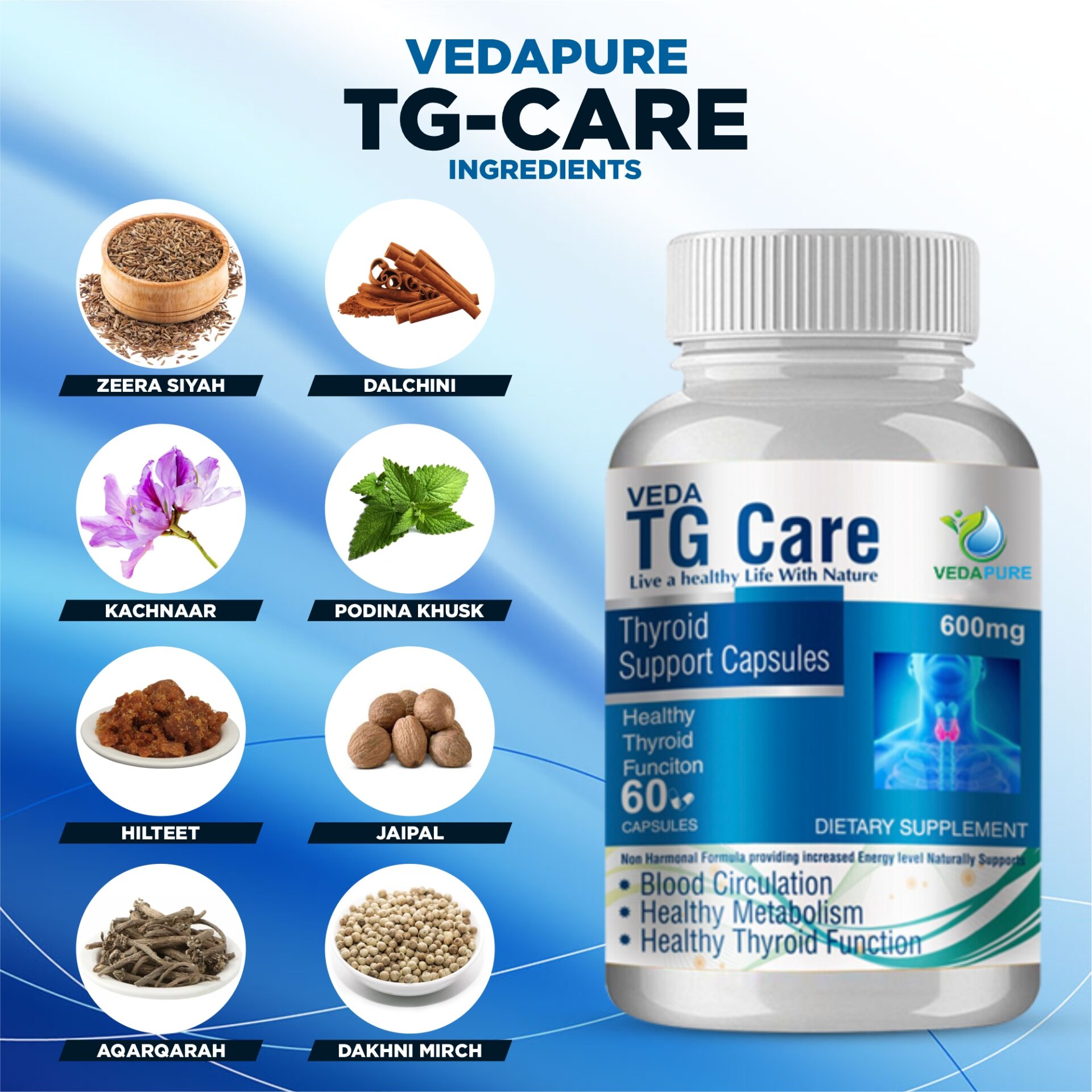 TG Care 4 TG Care 4 2025