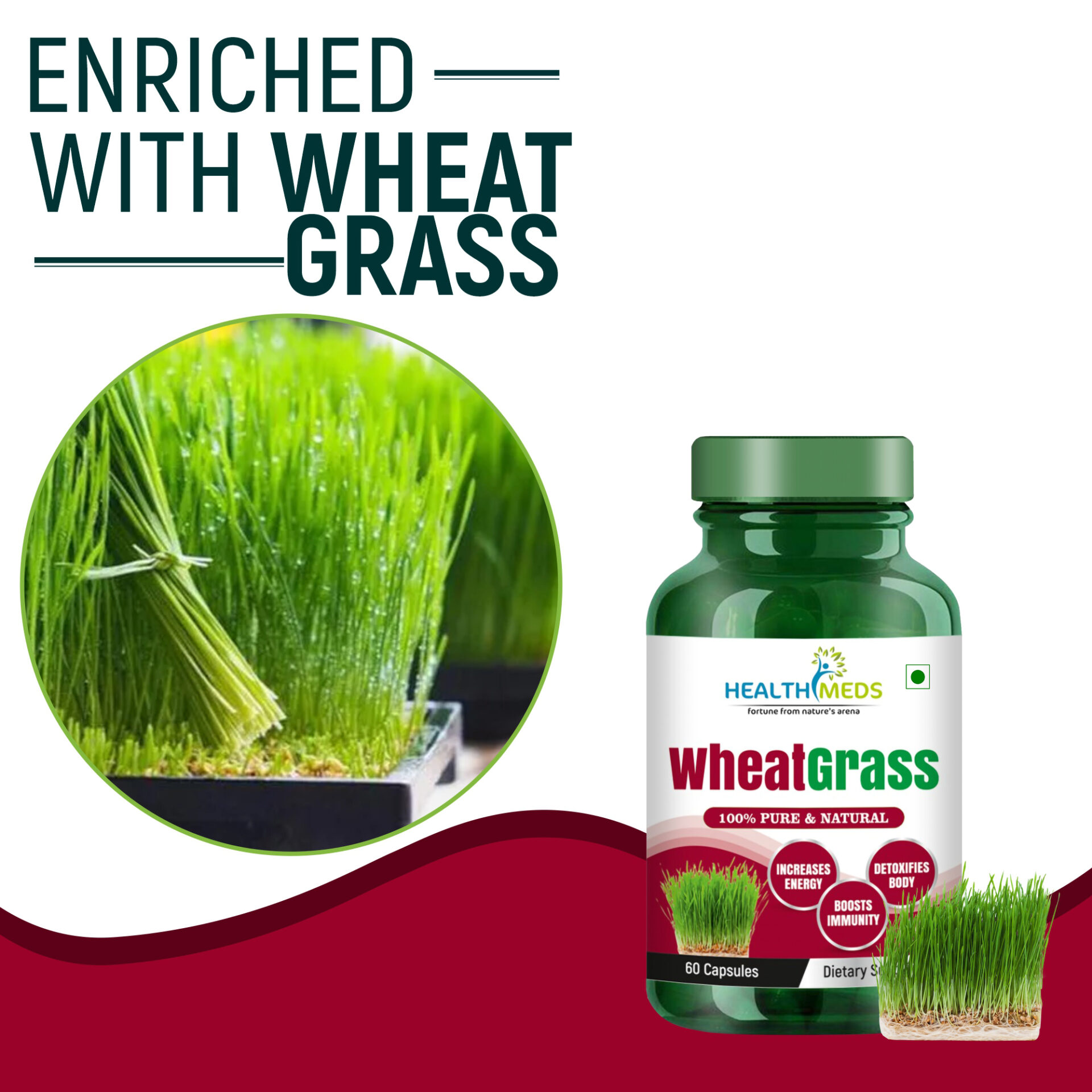 Wheatgrass Healthmeds 1 Wheatgrass Healthmeds 1 2025