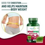 Mediciner.in - HEALTHMEDS Wheat Grass - Natural Antioxidant Superfood, Supports Healthy Joints, Immunity Booster, Non-GMO, Vegan 60Caps 1000mg (Pack of 1) | 2025 Wheatgrass Healthmeds 3 2025