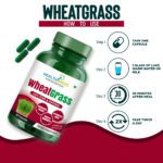 Mediciner.in - HEALTHMEDS Wheat Grass - Natural Antioxidant Superfood, Supports Healthy Joints, Immunity Booster, Non-GMO, Vegan 60Caps 1000mg (Pack of 1) | 2025 Wheatgrass Healthmeds 6 2025
