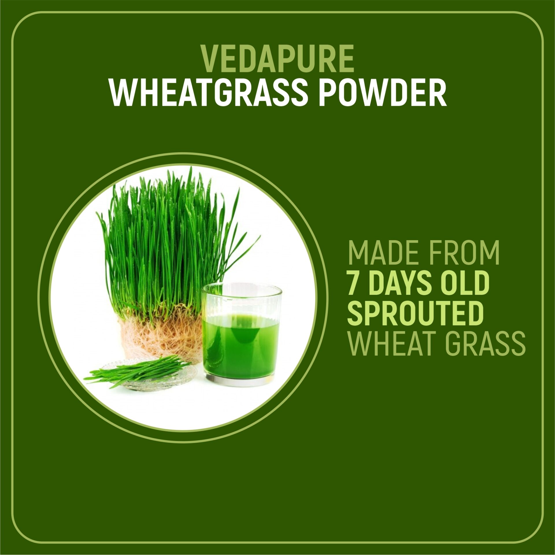 WheatgrassPowder5 WheatgrassPowder5 2025