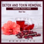 hibiscus Red Tea Creative 5 2025