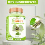 Divya Shree Giloy Capsules
