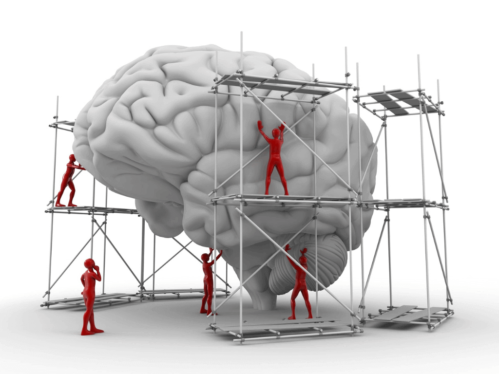 Mediciner.in - Eyewear | 2025 Brain building made fun