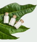Mediciner.in - Product Categories | 2025 Homeopathy icon 1 2025