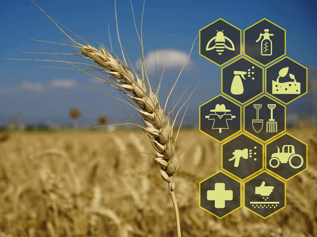 How has COVID-19 impacted AGRICULTURE?