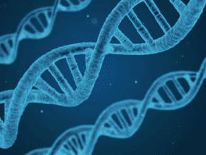 Nobel Prize for CRISPR creates history