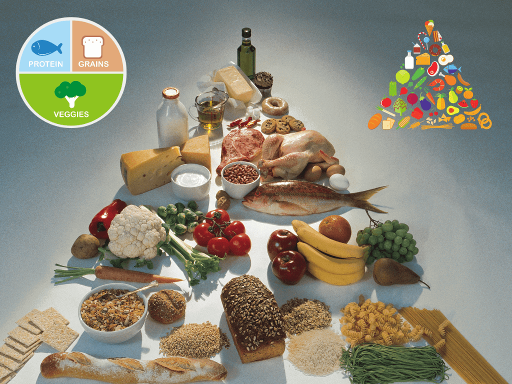 Mediciner.in - Eyewear | 2025 The food pyramid- Is it still relevant?