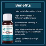 Mediciner.in - Durmeric Onedrop Intensive Black Pepper Herbal Care - 100% Natural Black Pepper Nano Extract - Makes 600 Servings 60ml (Pack of 1) | 2025 Durmeric Onedrop Intensive Black Pepper Herbal Care 60Ml 100 Natural Black Pepper Nano Extract Makes 600 Servings Use with WaterTeaSoupSalad Pack of 1 0 3 2025