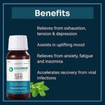 Mediciner.in - Durmeric Onedrop Tulsi Holy Basil Herbal Care Drops - 60ml | 100% Natural Pure Tulsi Nano Extract | Makes 600 Servings (Pack of 1) | 2025 Durmeric Onedrop Tulsi Holy Basil Herbal Care Drops 60 Ml 100 Natural Pure Tulsi Nano Extract Makes 600 Servings Pack of 1 0 9 2025