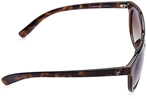Fastrack-Womens-Bug-Eye-Sunglasses-Brown-Frame-Brown-Lens-Large-Pack-of-1-0-1 Fastrack Womens Bug Eye Sunglasses Brown Frame Brown Lens Large Pack of 1 0 1 2025