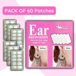 Mediciner.in - Grasshopr Ear Ascension - Invisible Ear Lobe Support Tape (Pack of 60) | 2025 Grasshopr Ear Ascension Invisible Ear Lobe Support Tape Pack of 60 0 4 2025