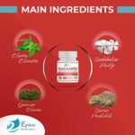 Mediciner.in - SUGARRID TABLET - Ayurvedic Blood Sugar Tablets helps to Control Diabetes - 60 Tablets | 2025 SUGARRID TABLET Ayurvedic Blood Sugar Tablets helps to Control Diabetes Sugar Control 60Tab 0 2 2025