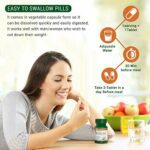 Mediciner.in - SUNOVA Bioslim- Weight Management Formula | Made of Garcinia Cambogia & Green Coffee Bean Extract – 60 Tablets (Pack of 1) | 2025 SUNOVA Bioslim Weight Management Formula Made up of Garcinia Cambogia and Green Coffee Bean Extracts 60 Tablets Pack of 1 0 3 2025