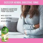 Mediciner.in - Schwabe India Dizester Herbal - 450ml | 2025 Schwabe India Dizester Herbal 450ml 0 7 2025