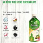 Mediciner.in - Schwabe India Dizester Herbal - 450ml | 2025 Schwabe India Dizester Herbal 450ml 0 9 2025