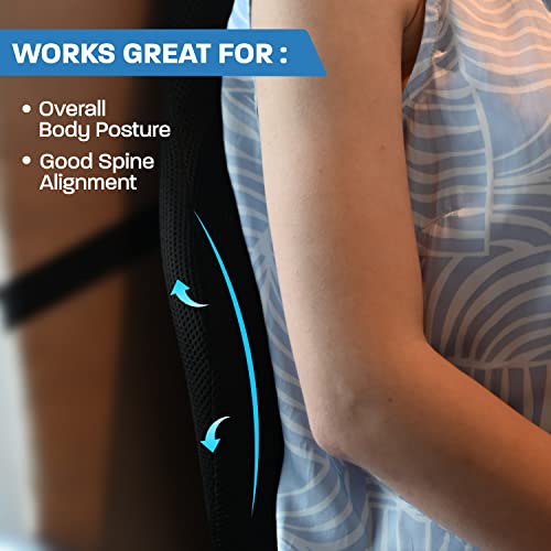 Sleepsia-Orthopedic-Lumbar-Support-Memory-Foam-Back-Cushion-Back-Rest-Cushion-for-Car-Chair-and-Office-Chair-175-L-x-155-W-x-55-H-Black-Pack-of-1-0-2 Sleepsia Orthopedic Lumbar Support Memory Foam Back Cushion Back Rest Cushion for Car Chair and Office Chair 175 L x 155 W x 55 H Black Pack of 1 0 2 2025