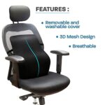 Mediciner.in - Sleepsia Orthopedic Lumbar Support Memory Foam Back Rest Cushion for Car & Office Chair (17.5" L x 15.5" W x 5.5" H) Black | 2025 Sleepsia Orthopedic Lumbar Support Memory Foam Back Cushion Back Rest Cushion for Car Chair and Office Chair 175 L x 155 W x 55 H Black Pack of 1 0 3 2025