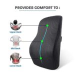 Mediciner.in - Sleepsia Orthopedic Lumbar Support Memory Foam Back Rest Cushion for Car & Office Chair (17.5" L x 15.5" W x 5.5" H) Black | 2025 Sleepsia Orthopedic Lumbar Support Memory Foam Back Cushion Back Rest Cushion for Car Chair and Office Chair 175 L x 155 W x 55 H Black Pack of 1 0 4 2025