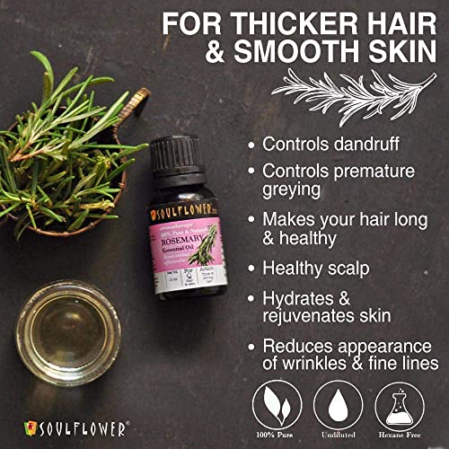 Soulflower-Rosemary-Essential-Oil-for-Hair-Growth-Hair-Fall-Control-and-Nourishment-Skin-Care-Clinically-Tested-Ecocert-Certified-Organic-100-Pure-Natural-Undiluted-15ml-0-1 Soulflower Rosemary Essential Oil for Hair Growth Hair Fall Control and Nourishment Skin Care Clinically Tested Ecocert Certified Organic 100 Pure Natural Undiluted 15ml 0 1 2025