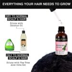 Mediciner.in - Soulflower Rosemary Essential Oil for Hair Growth, Hair Fall Control & Nourishment | Clinically Tested & Ecocert Certified -15ml | 2025 Soulflower Rosemary Essential Oil for Hair Growth Hair Fall Control and Nourishment Skin Care Clinically Tested Ecocert Certified Organic 100 Pure Natural Undiluted 15ml 0 3 2025