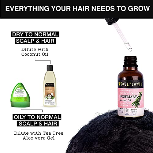 Soulflower-Rosemary-Essential-Oil-for-Hair-Growth-Hair-Fall-Control-and-Nourishment-Skin-Care-Clinically-Tested-Ecocert-Certified-Organic-100-Pure-Natural-Undiluted-15ml-0-3 Soulflower Rosemary Essential Oil for Hair Growth Hair Fall Control and Nourishment Skin Care Clinically Tested Ecocert Certified Organic 100 Pure Natural Undiluted 15ml 0 3 2025