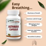 Mediciner.in - Sruthi Herbal Laboratories 100% Natural & Ayurvedic Asthma Capsule - Relief from Breath Shortness, Congestion, Coughing, Respiratory Disorder | 2025 Sruthi Herbal Laboratories Asthma Capsule 100 Natural Ayurvedic Capsule Relief from breath shortness Congestion Coughing Respiratory Disorder Easy Breathing Lungs Health Wellness Pack of 1 60 Capsules 0 7 2025