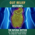 Mediciner.in - Vansaar Gut Relief (Sugar free) - Stomach cleanser for Constipation, Enriched With Isabgol, Haritaki & 6 other ayurvedic herbs - 200gm | 2025 Vansaar Gut Relief Sugar free 200g Stomach cleanser for Constipation Gas Bloating Enriched With Isabgol Haritaki 6 other ayurvedic herbs Non Habit forming Overnight Relief 0 2 2025