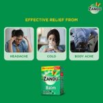 Mediciner.in - Zandu Balm, Effective relief from Headache, Body Pain, Sprain & Cold - 50ml (Pack of 2) | 2025 Zandu Balm 50ml x Pack of 2 Effective relief from Headache Body Pain Sprain and Cold 0 4 2025