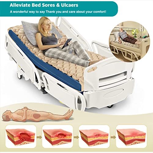 AmbiTech-Anti-decubitus-Anti-bedsore-Air-Mattress-with-Compressor-Alternating-Pressure-System-0-1 AmbiTech Anti decubitus Anti bedsore Air Mattress with Compressor Alternating Pressure System 0 1 2025