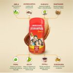 Mediciner.in - Baidyanath Chyawanprash Special - Immunity Booster, Enhances Strength & Stamina - Fresh Stock | 2025 Baidyanath Chyawanprash Special 950g Immunity Booster Enhances Strength Stamina Made with 52 ingredients Fresh Stock 0 1 2025