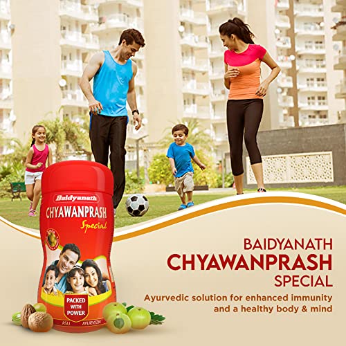 Baidyanath-Chyawanprash-Special-950g-Immunity-Booster-Enhances-Strength-Stamina-Made-with-52-ingredients-Fresh-Stock-0-4 Baidyanath Chyawanprash Special 950g Immunity Booster Enhances Strength Stamina Made with 52 ingredients Fresh Stock 0 4 2025
