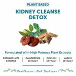 Mediciner.in - Bliss Welness Kidney Detox | Punarnava Patharchatta Gokhru Ganoderma Varun Extracts - 60 Veg Tablets | 2025 Bliss Welness Kidney Detox Punarnava Patharchatta Gokhru Ganoderma Varun Extracts Kidney Stone Dissolver Ayurvedic Health Supplement 60 Vegetarian Tablets 0 3 2025