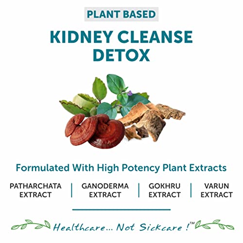 Bliss-Welness-Kidney-Detox-Punarnava-Patharchatta-Gokhru-Ganoderma-Varun-Extracts-Kidney-Stone-Dissolver-Ayurvedic-Health-Supplement-60-Vegetarian-Tablets-0-3 Bliss Welness Kidney Detox Punarnava Patharchatta Gokhru Ganoderma Varun Extracts Kidney Stone Dissolver Ayurvedic Health Supplement 60 Vegetarian Tablets 0 3 2025