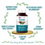 Mediciner.in - Bliss Welness Kidney Detox | Punarnava Patharchatta Gokhru Ganoderma Varun Extracts - 60 Veg Tablets | 2025 Bliss Welness Kidney Detox Punarnava Patharchatta Gokhru Ganoderma Varun Extracts Kidney Stone Dissolver Ayurvedic Health Supplement 60 Vegetarian Tablets 0 4 2025