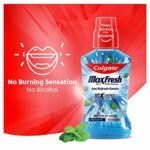 Mediciner.in - Colgate Plax Pepper Mint Mouthwash, 0% Alcohol - Pack of 500 ml | 2025 Colgate Plax Pepper Mint Mouthwash 0 Alcohol Pack of 500 ml 0 3 2025