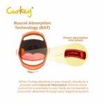 Mediciner.in - Curkey Pastilles for Quick Relief from Sore Throat from Natural Curcumin Extract from Turmeric | Sugar Free Tablets, Mint Flavour (Pack of 5) | 2025 Curkey Pastilles for Quick Relief from Sore Throat from Natural Curcumin Extract from Turmeric Sugar Free Tablets Mint Flavour Pack of 5 0 2 2025