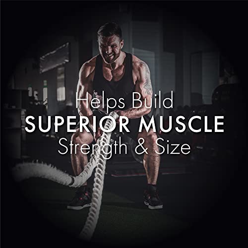 DR-VAIDYAS-new-age-ayurveda-Herbobuild-Pack-of-1-30-capsules-Ayurvedic-Muscle-Mass-Gainer-Capsules-Muscle-Protein-Synthesis-Lean-Mass-Gainer-Improved-Stamina-Strength-0-3 DR VAIDYAS new age ayurveda Herbobuild Pack of 1 30 capsules Ayurvedic Muscle Mass Gainer Capsules Muscle Protein Synthesis Lean Mass Gainer Improved Stamina Strength 0 3 2025